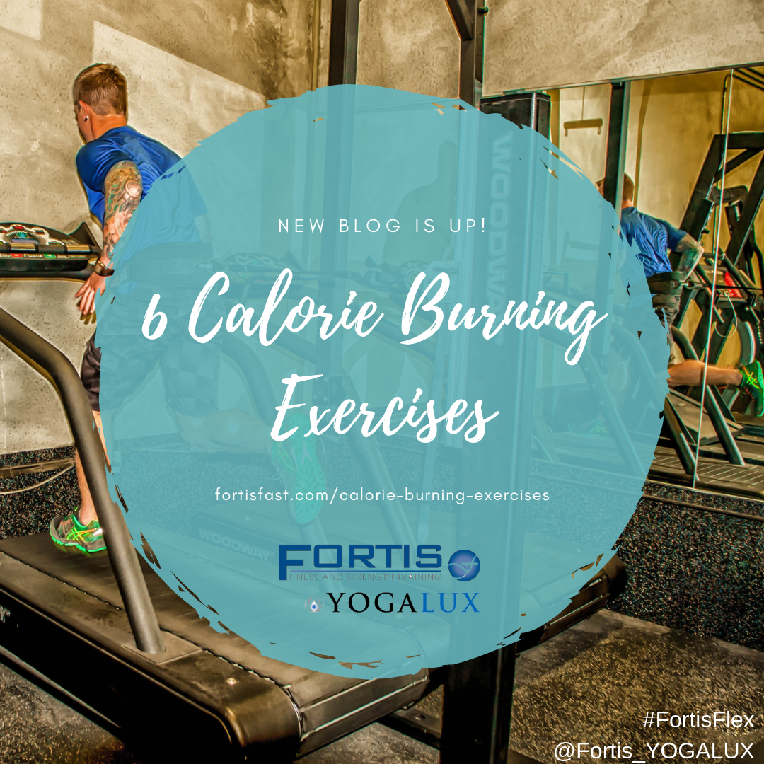 Calorie Burning Exercises Blog